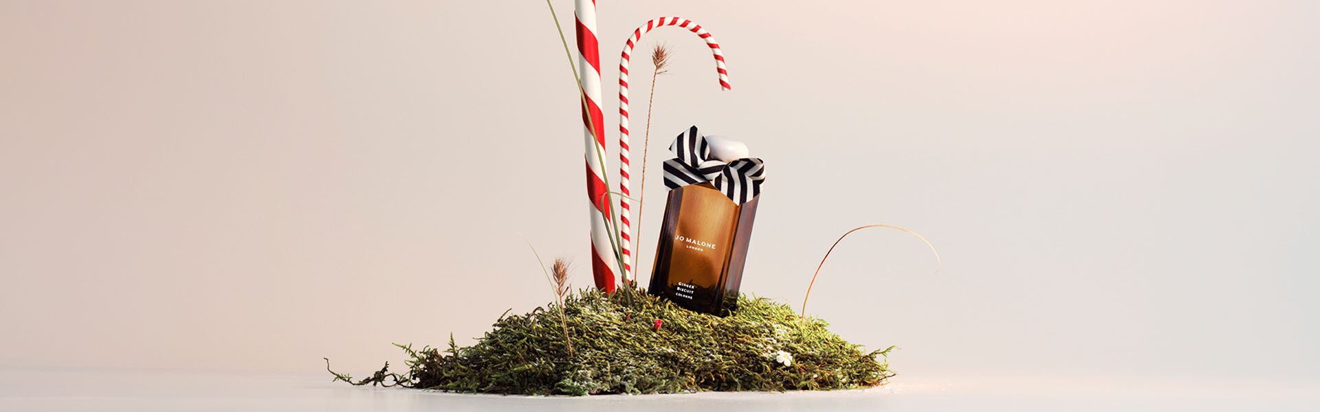 Jo Malone London Ginger Biscuit Collection Candle Cologne on a bed of moss with black and white bows